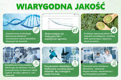 🏥 Oficjalny sklep | 💯𝐏𝐙𝐆𝐎𝐍𝐄® Moringa·Berberyna×NAD+ 10-w-1 Plaster (Natychmiastowy efekt, widoczne rezultaty po 7 dniach) ✅ Stosowane w celu utraty wagi, poprawy zwiotczałej skóry, leczenia cukrzycy, bezdechu sennego i problemów ze stawami.